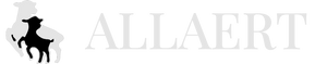 Brand Watermark